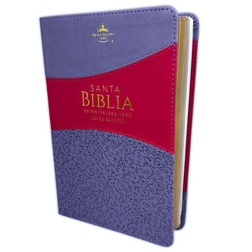 Biblia RVR60 Tamaño Manual Letra Grande i/piel LILA/FUCSIA (Colección Banda)