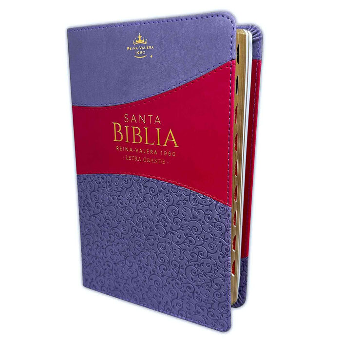 Biblia RVR60 Tamaño Manual Letra Grande i/piel LILA/FUCSIA con índice (Colección Banda)