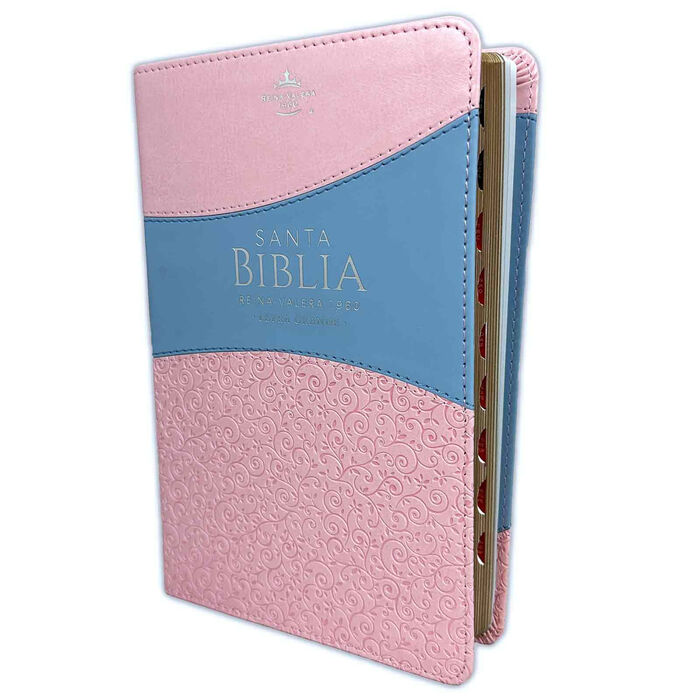 Biblia RVR60 Tamaño Manual Letra Grande i/piel ROSA/AZUL con índice (Colección Banda)