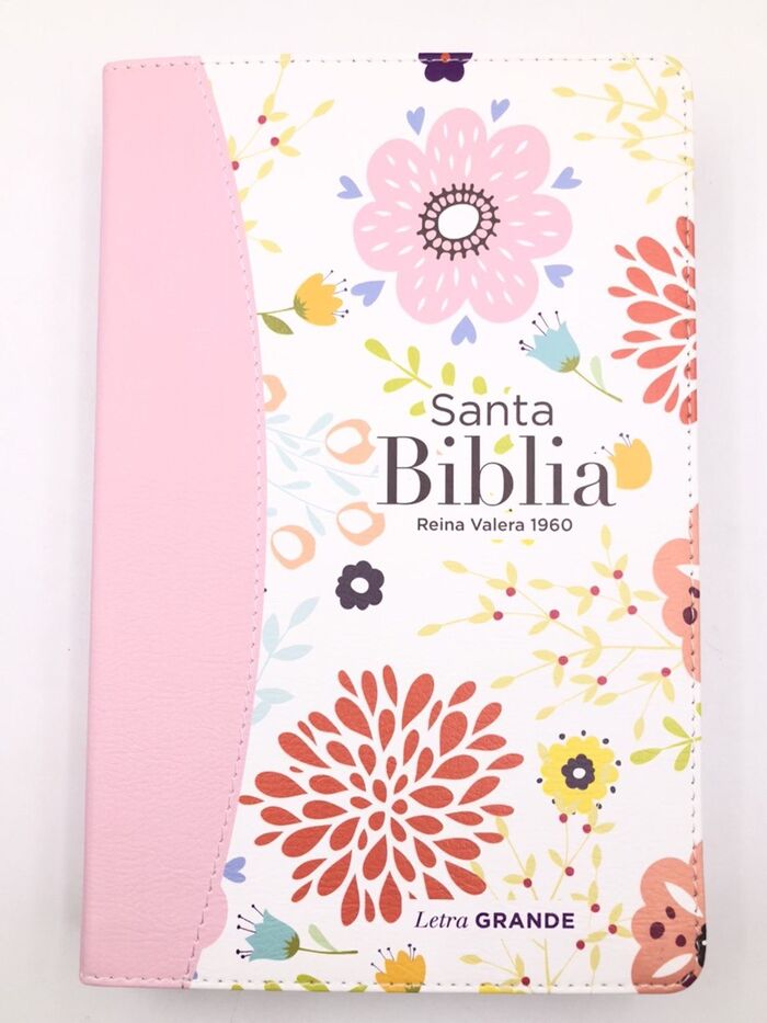 Biblia RVR60 Tamaño Manual Letra Grande i/piel canto pintado Rosa (Colección FANTASIA)