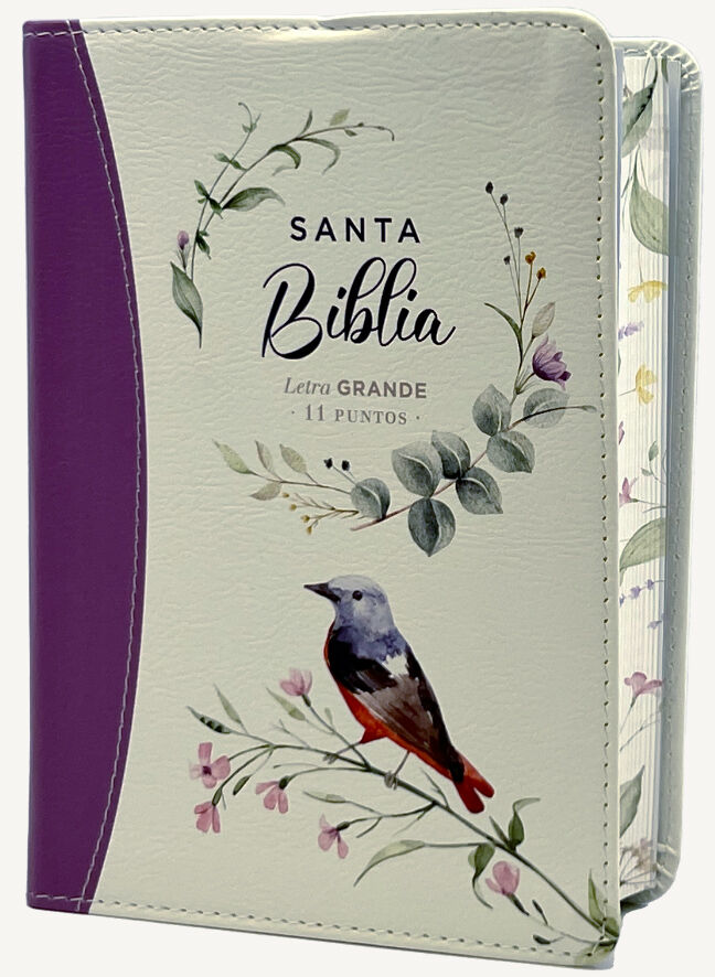 Biblia RVR60 portátil Letra Grande 11 puntos i/piel canto pintado LILA PAJARO (Colección Fantasia)