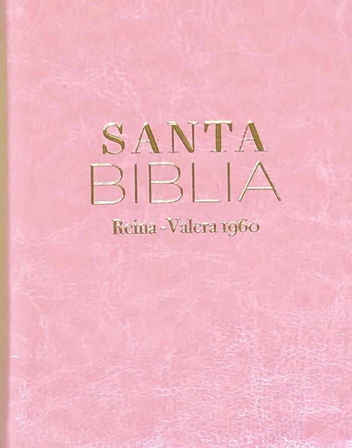 Biblia RVR60 Bolsillo i/piel ROSA CLARO Colección Clásica