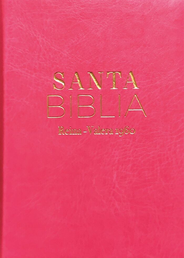 Biblia RVR60 Bolsillo i/piel FUCSIA (Colección Básica)