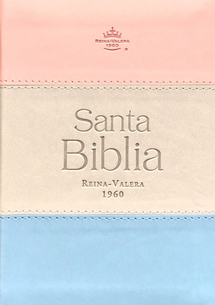 Biblia RVR60 Bolsillo i/piel Tricolor Rosa/Gris/Turquesa con cierre/índice