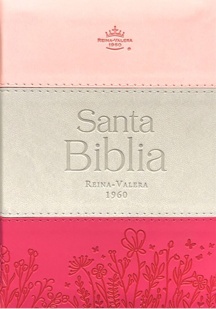 Biblia RVR60 Bolsillo i/piel Tricolor Rosa/Gris/Fucsia con cierre/índice