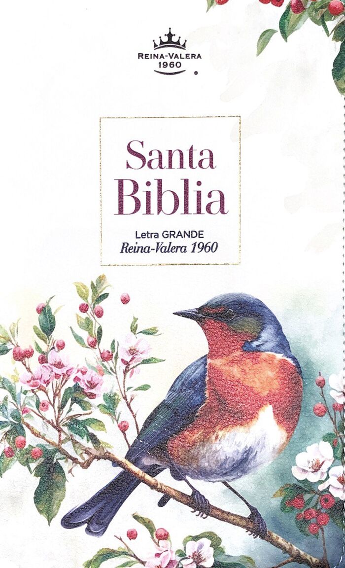 Biblia RVR60 Tamaño manual Letra Grande i/piel Pájaro Vintage