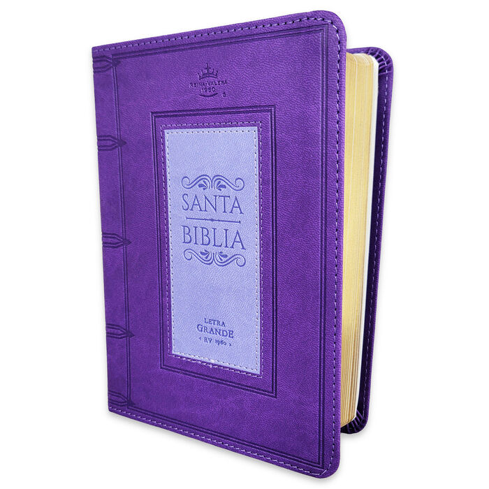 Biblia RVR60 Tamaño Compacto Letra Grande 12 puntos i/piel Frame lila/lila