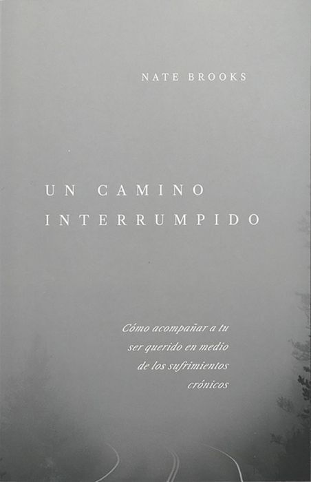 Un camino interrumpido