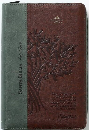 Biblia RVR60 tamaño manual letra Gigante Café/café con cierre: Olivo