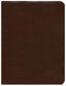 Biblia de Estudio Mundo Hispano Piel Europea