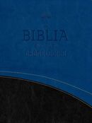 Biblia en orden cronológico RVR60 i/piel azul/negro