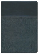 Biblia de estudio Ryrie Ampliada RVR60 Duotono Negro (Nueva Edición)