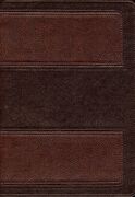 Biblia de estudio Vida Plena RVR60 dos tonos marron