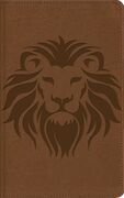 Biblia Visual de estudio para niños NBLA i/piel Café León