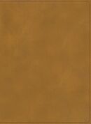 Biblia RVR60 ilustrada Tierra Santa i/piel café con índice