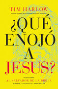 ¿QUÉ ENOJÓ A JESÚS?