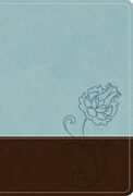 Biblia NTV Letra Grande Compacta i/piel Azul/Chocolate