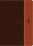 Biblia de estudio del diario vivir RVR60, letra grande i/piel marrón/café