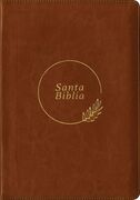 Biblia RVR60 Letra grande cierre edición referencias i/piel café con índice