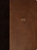 Biblia RVR60 temática de estudio, marrón oscuro/marrón piel fabricada con índice