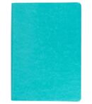 Biblia NVI letra gigante turquesa