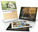 Calendario Abba 2027 Animales